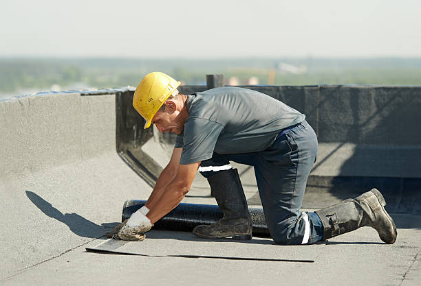 Best Specialized Insulation Services in Arche, OK