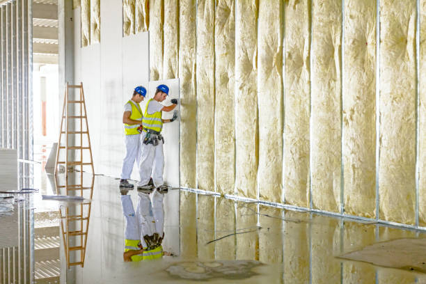 Best Residential Insulation in Arche, OK